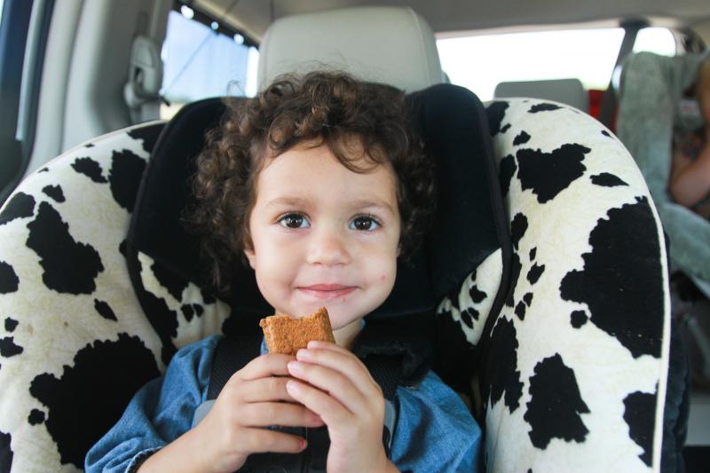  photo naturebox4_zps6b4e8fb1.jpg